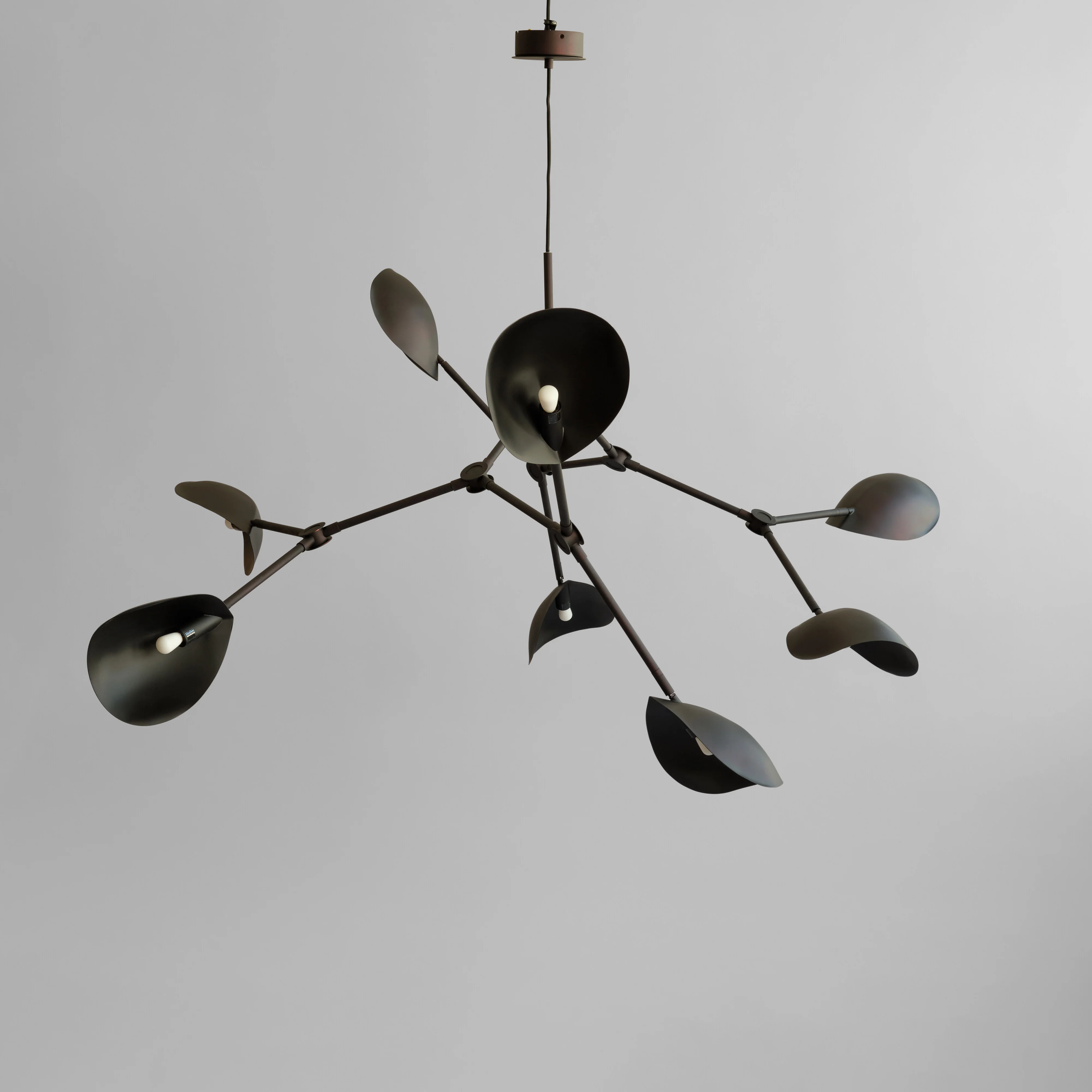 Stingray Chandelier, Grande - Burned Black (5m) - Image 4