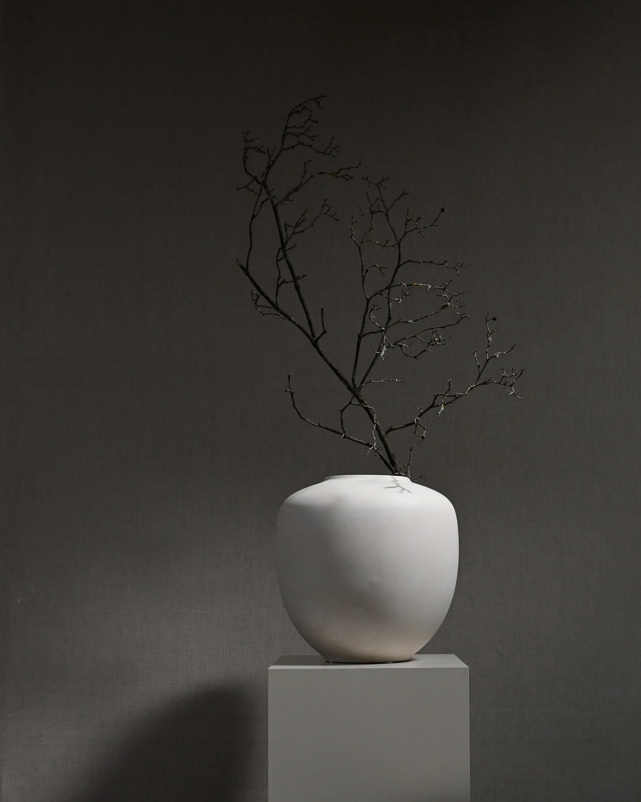 Sunao Vase, Medio - Birch - Image 4